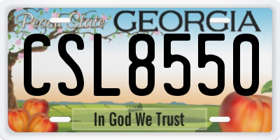 GA license plate CSL8550