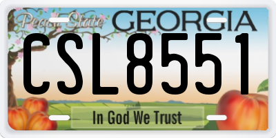GA license plate CSL8551