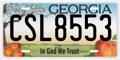 GA license plate CSL8553