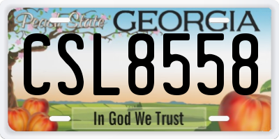 GA license plate CSL8558
