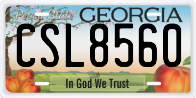 GA license plate CSL8560