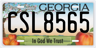 GA license plate CSL8565