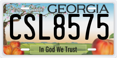 GA license plate CSL8575