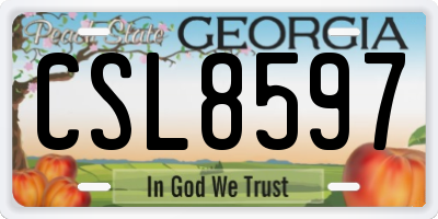 GA license plate CSL8597