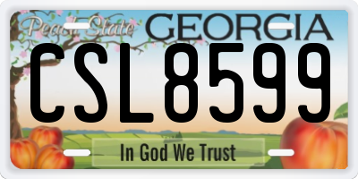 GA license plate CSL8599