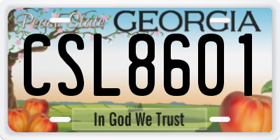 GA license plate CSL8601
