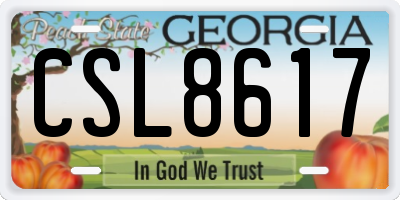 GA license plate CSL8617