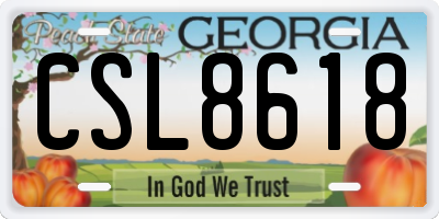 GA license plate CSL8618
