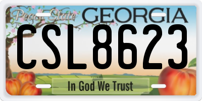 GA license plate CSL8623