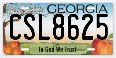 GA license plate CSL8625