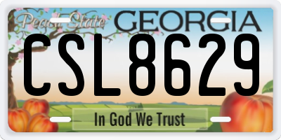 GA license plate CSL8629
