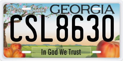 GA license plate CSL8630