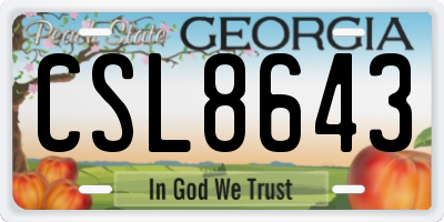 GA license plate CSL8643