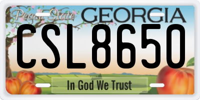 GA license plate CSL8650