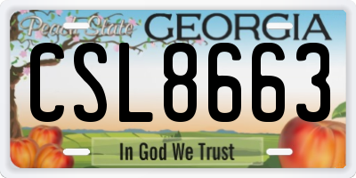 GA license plate CSL8663