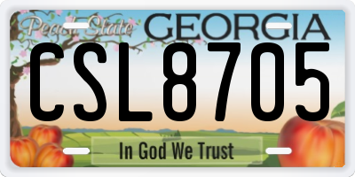 GA license plate CSL8705