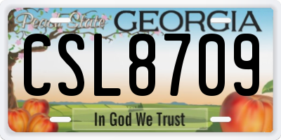 GA license plate CSL8709
