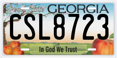 GA license plate CSL8723