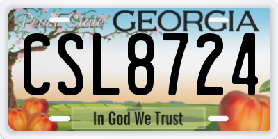 GA license plate CSL8724