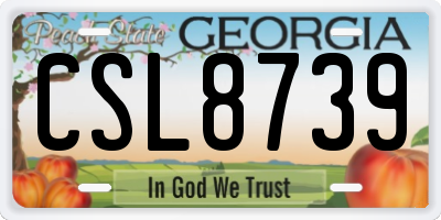 GA license plate CSL8739