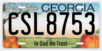 GA license plate CSL8753