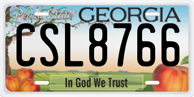 GA license plate CSL8766