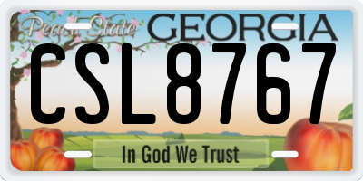 GA license plate CSL8767