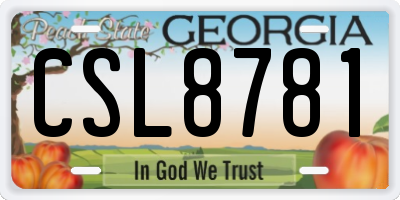 GA license plate CSL8781