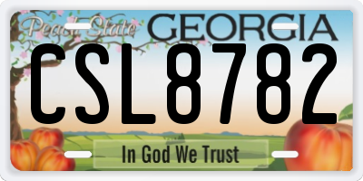 GA license plate CSL8782