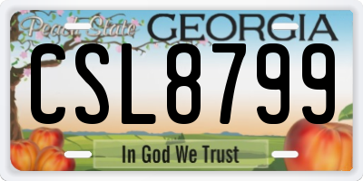 GA license plate CSL8799