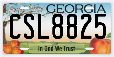 GA license plate CSL8825