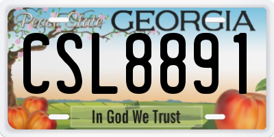 GA license plate CSL8891