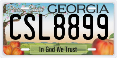 GA license plate CSL8899