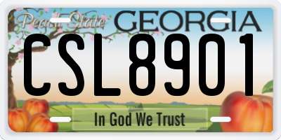 GA license plate CSL8901