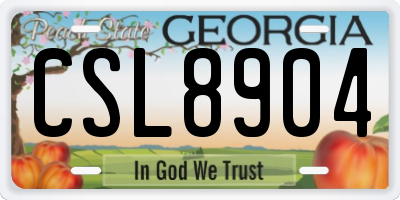 GA license plate CSL8904