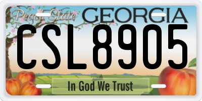 GA license plate CSL8905