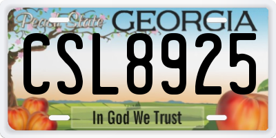 GA license plate CSL8925