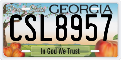 GA license plate CSL8957