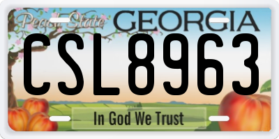 GA license plate CSL8963