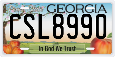 GA license plate CSL8990