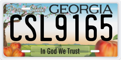 GA license plate CSL9165