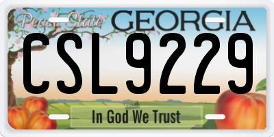 GA license plate CSL9229