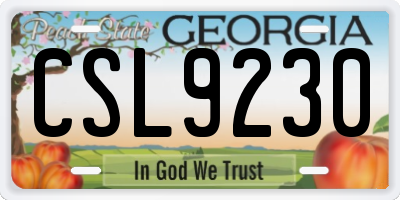 GA license plate CSL9230