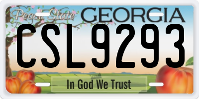 GA license plate CSL9293