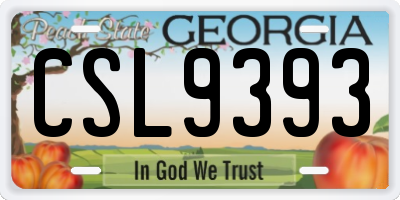 GA license plate CSL9393