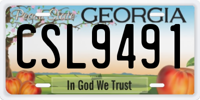 GA license plate CSL9491