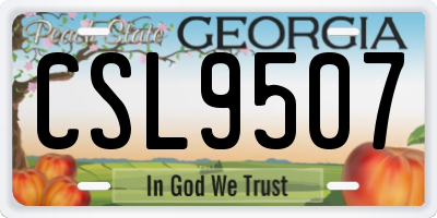 GA license plate CSL9507