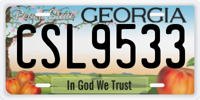 GA license plate CSL9533