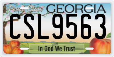 GA license plate CSL9563