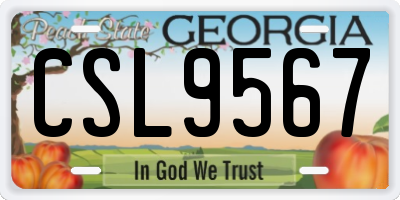GA license plate CSL9567